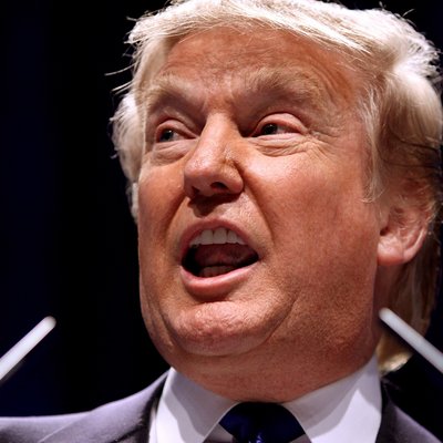Donald Trump, 2011