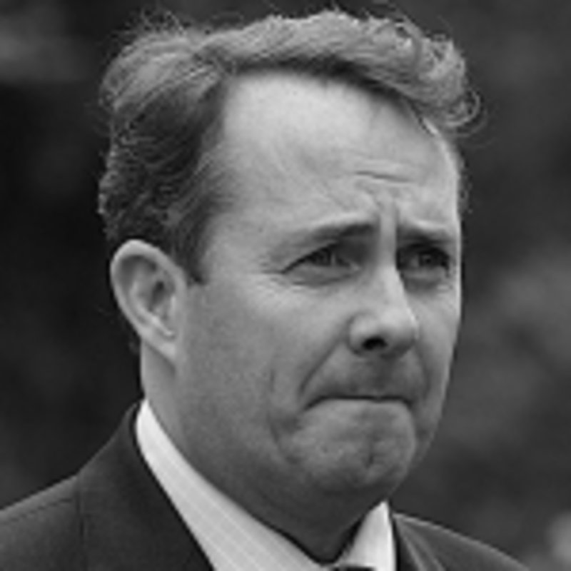 Britischer Verteidigungsminister Liam Fox, Foto: Steve Punter