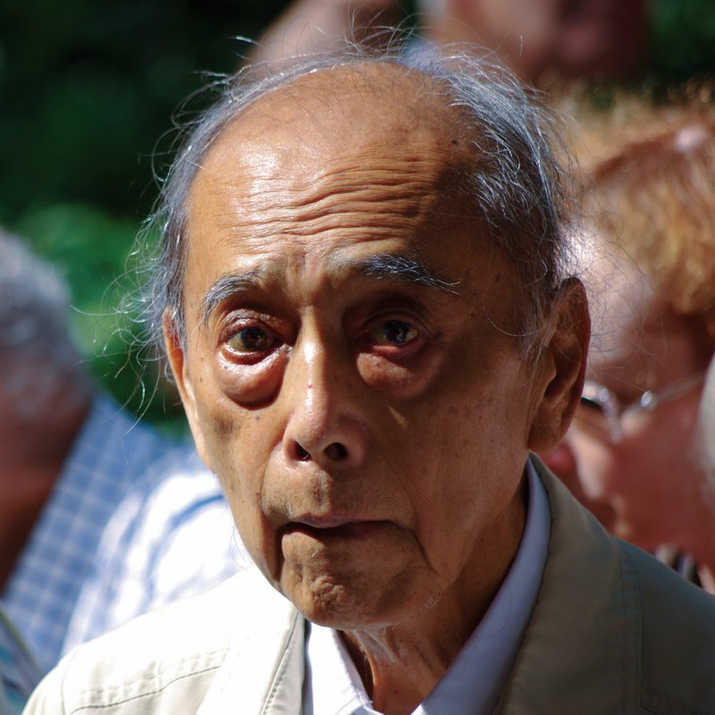 Prof. Dr. Hideto Sotobayashi, 2011.